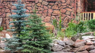 a christmas tree in front of a stone wall at Alpen Way Chalet Mountain Lodge in Evergreen