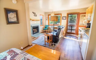 a kitchen and living room with a couch and a fireplace at McGregor Mountain Lodge in Estes Park