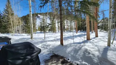 a pile of snow in the woods with a trash can at 2BR Keystone Condo Near Slopes in Keystone
