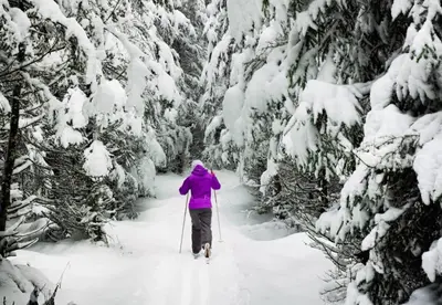 a person on skis walking through a snow covered forest at 2BR Riverside Cabin Near Trails with Hot Tub Access in Breckenridge
