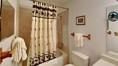 a bathroom with a shower curtain and a toilet at CC102 Buffalo Village in Silverthorne