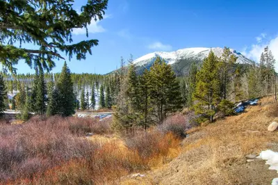 a snow covered mountain in the distance with trees at B-101 Buffalo Ridge in Silverthorne