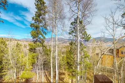 a forest of trees with a house in the background at Miners Run 79 in Silverthorne