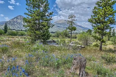 a field of flowers with mountains in the background at Waterdance House home in Frisco