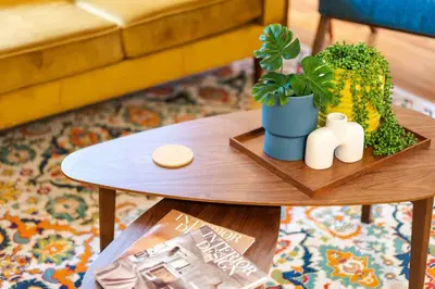 a coffee table with a potted plant on it at PingPong-YardGames-NewKitchen in Arvada