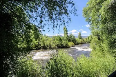 a river with trees on the side of it at Modern 3bd cabin in Edgewater in Granby
