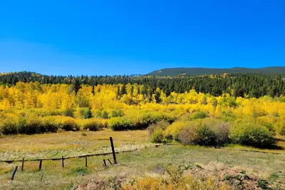 an open field with a fence and fall foliage at Deck and Mtn Views! Family A-Frame Cabin in Bailey in Highland Park