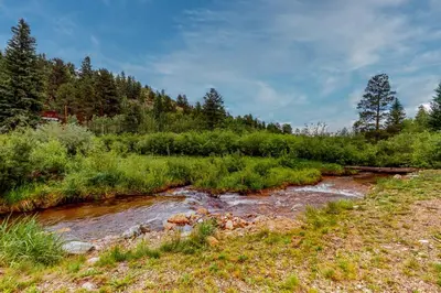 a stream in the middle of a field with trees at Deck and Mtn Views! Family A-Frame Cabin in Bailey in Highland Park