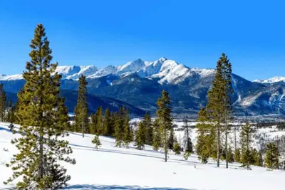 a group of trees in the snow with mountains at Lovely Townhome A Half-Mile From Keystone Gondola Wshared Hot-Tub & Excellent Views in Dillon