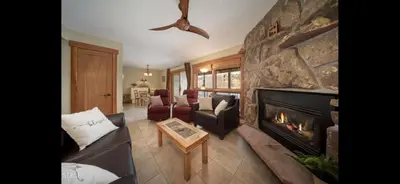 a living room with a fireplace and a couch and chairs at Riverside Retreat in Funky Fraser on Train, Bike and Bus Routes in Fraser