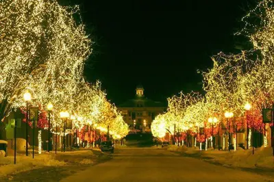 a street lined with trees covered in christmas lights at 6224 S Datura St in Littleton
