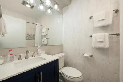 a bathroom with a toilet and a sink and a mirror at Guest Suite Downtown Winter Park GREAT LOCATION in Winter Park