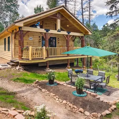 Private Hot Tub and Pond Conifer Log Cabin