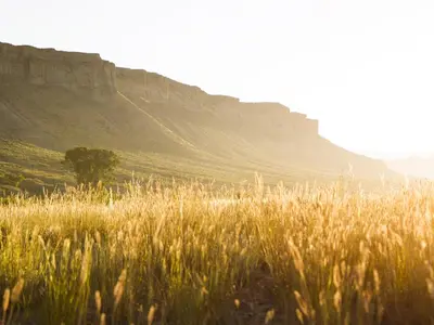 a field of tall grass with a hill in the background at Allington Inn & Suites Kremmling in Kremmling