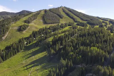an aerial view of a hill with trees on it at Hay Meadow Lodge townhouse in Fraser