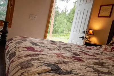 a bedroom with a bed and a door with a window at Warm Woodland Getaway with Land in Red Feather Lakes