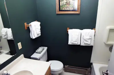 a bathroom with a white toilet and a green wall at Fawn Valley Inn- 297 condo in Estes Park