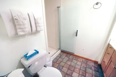 a bathroom with a white toilet and a shower at Sunnyside Knoll- 10 studio in Estes Park