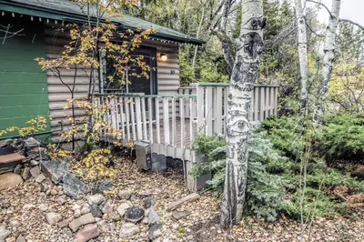 a log cabin with a porch and a tree at Sunnyside Knoll- 10 studio in Estes Park