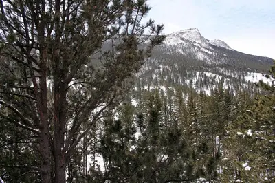 a snow covered mountain with trees in front of it at Fawn Valley Inn- 292 apts in Estes Park