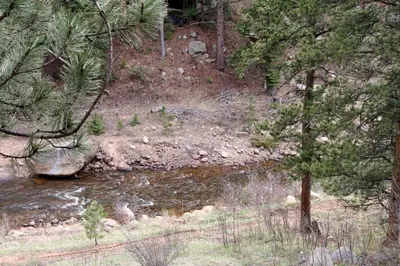 a stream in the middle of a forest with trees at Fawn Valley Inn- 296 apts in Estes Park