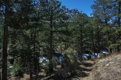 a forest of trees with a mountain in the background at Fawn Valley Inn- 103 condo in Estes Park