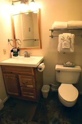 a bathroom with a toilet and a sink and a mirror at Fawn Valley Inn- 277 condo in Estes Park