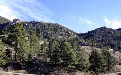 a mountain covered in trees on top of a hill at Fawn Valley Inn- 277 condo in Estes Park