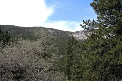 a view of a mountain with trees in the foreground at Fawn Valley Inn- 256 apts in Estes Park