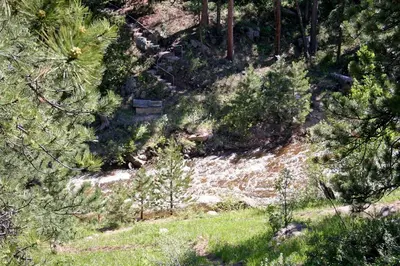an overhead view of a forest with trees and grass at Fawn Valley Inn- 300 condo in Estes Park