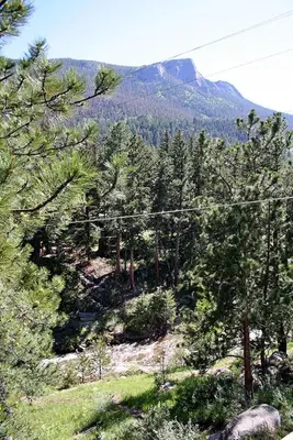 a forest of trees with a mountain in the background at Fawn Valley Inn- 300 condo in Estes Park