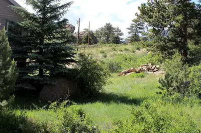 a grassy yard with a tree and a house at Sunnyside Knoll- 16 cabin in Estes Park