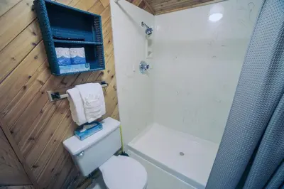 a bathroom with a white toilet and a shower at Sunnyside Knoll- 15 cabin in Estes Park