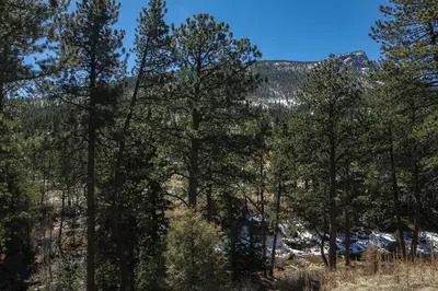 a group of trees with a mountain in the background at Fawn Valley Inn- 102 condo in Estes Park