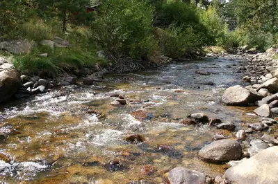 a stream of water with rocks and trees at Fawn Valley Inn- 235 condo in Estes Park