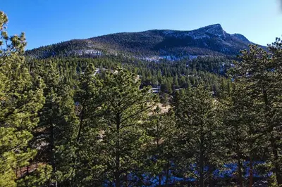 a mountain with trees in front of it at Fawn Valley Inn- 279 condo in Estes Park