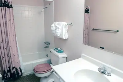 a bathroom with a sink and a toilet and a shower at Fawn Valley Inn- 290 condo in Estes Park
