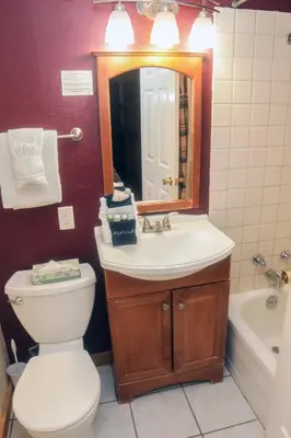 a bathroom with a toilet and a sink and a mirror at Timber Creek Chalets- 10B chalet in Estes Park