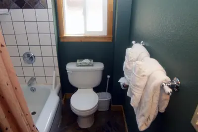a bathroom with a toilet and a tub and a window at Lazy R Cottages- 9 cabin in Estes Park