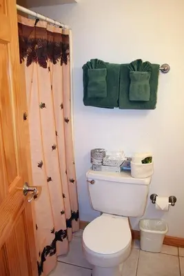 a bathroom with a toilet and a shower curtain at Fawn Valley Inn- 254 apts in Estes Park