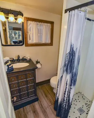 a bathroom with a sink and a toilet and a shower curtain at Lazy R Cottages- 5 cabin in Estes Park