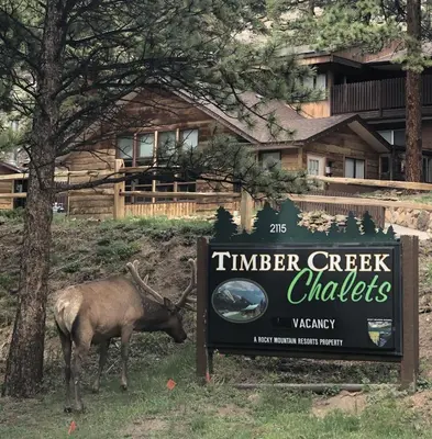 a deer standing next to a sign in front of a house at Timber Creek Chalets- 3 chalet in Estes Park