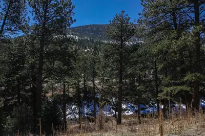 a group of trees with a mountain in the background at Fawn Valley Inn- 104 condo in Estes Park
