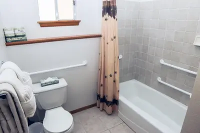 a bathroom with a toilet and a tub and a shower at Timber Creek Chalets- 11 chalet in Estes Park