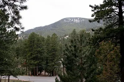 a view of a mountain with trees and a road at Timber Creek Chalets- 11 chalet in Estes Park
