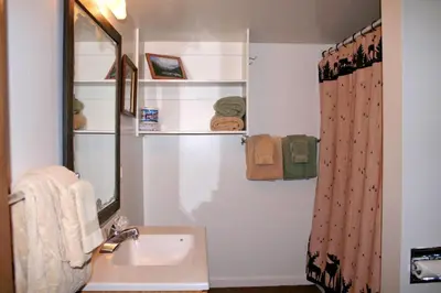 a bathroom with a sink and a mirror and a shower at Lazy R Cottages- 2 cabin in Estes Park