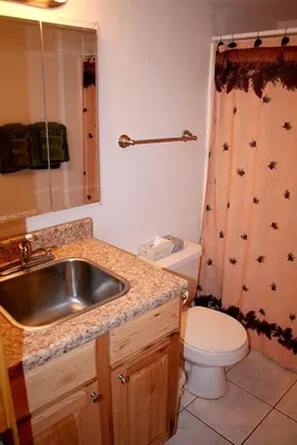 a bathroom with a sink and a toilet and a shower at Fawn Valley Inn- 253 apts in Estes Park