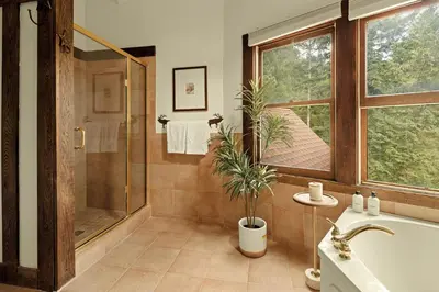 a bathroom with a shower and a tub with a potted plant at Stunning View House - 15-min to Town - Evergreen in Evergreen