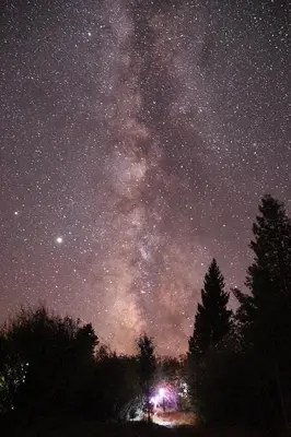 a starry night with the milky way in the sky at Wapiti Retreat at 22 West Cabins and Recreation in Walden