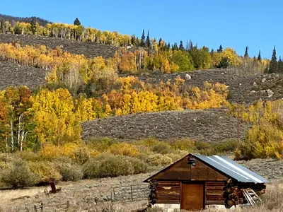 an old cabin in the middle of a field at Wapiti Retreat at 22 West Cabins and Recreation in Walden